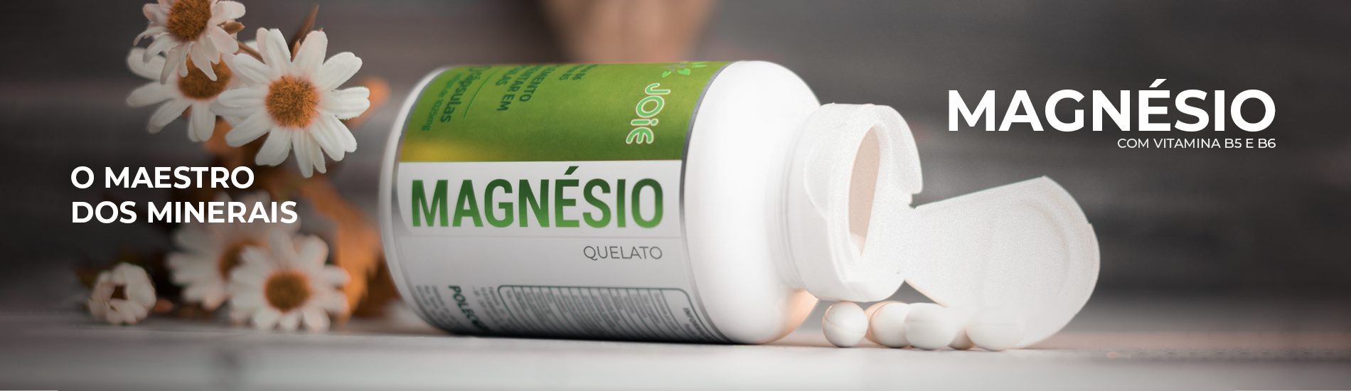 BANNER MAGNÉSIO__